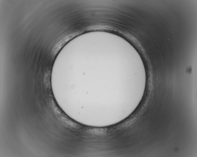 X0000115480937200912181206