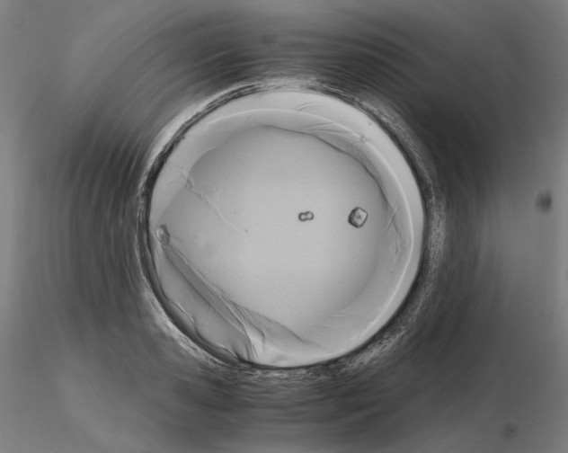X0000115480941200912181206