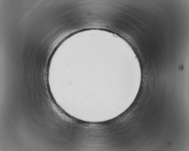 X0000115480942200912181206