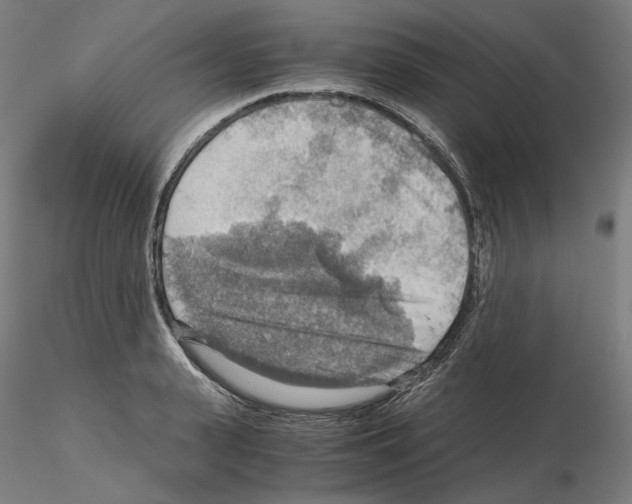 X0000115480943200912181206