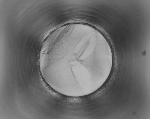 X0000115480945200912181206