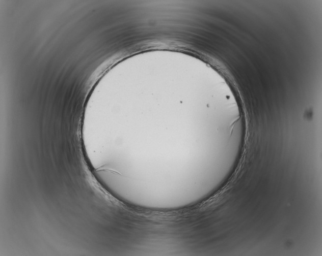 X0000115480946200912181206