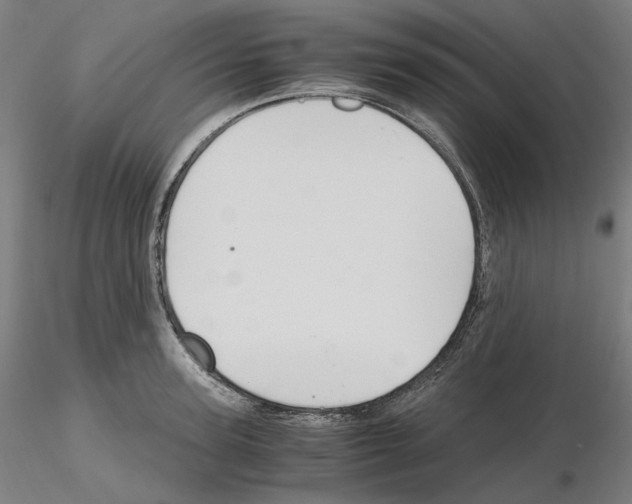 X0000115480947200912181206