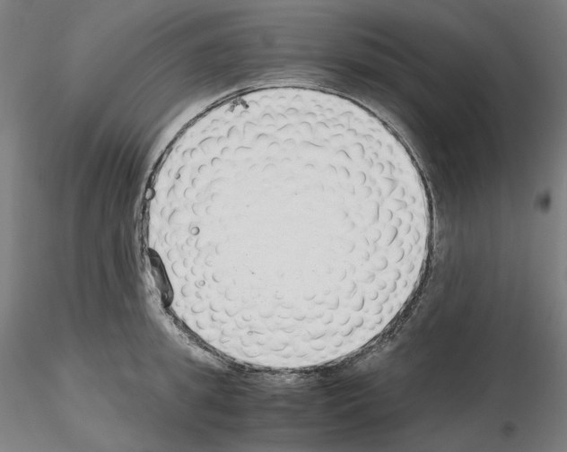 X0000115480949200912181206