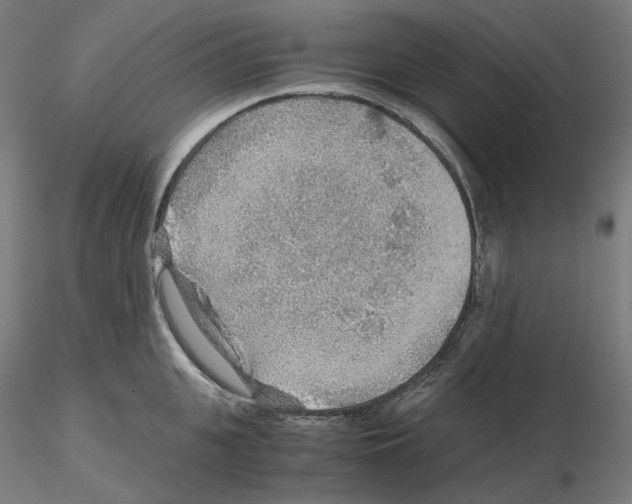 X0000115480951200912181206