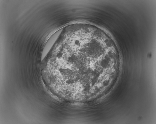 X0000115480953200912181206
