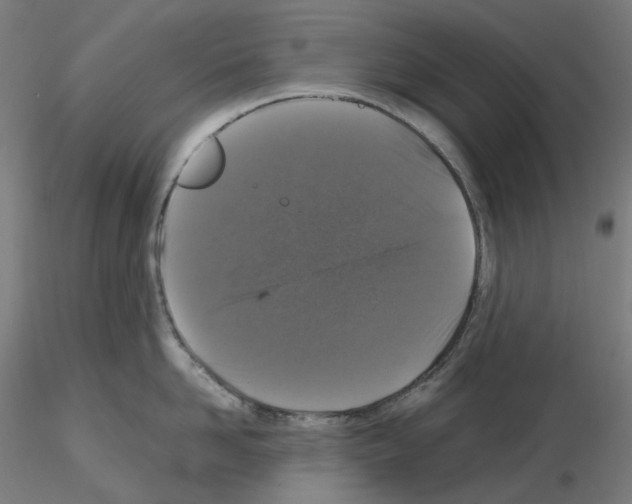 X0000115480958200912181206
