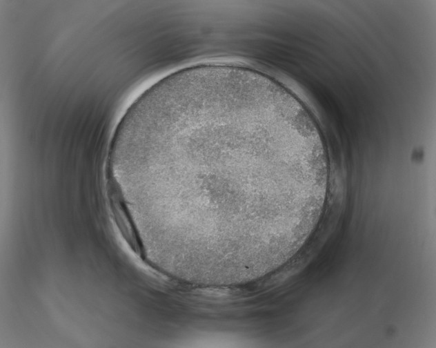 X0000115480959200912181206