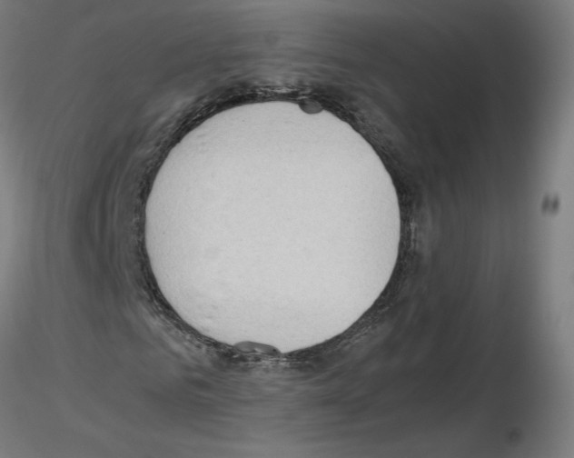 X0000115480961200912181205