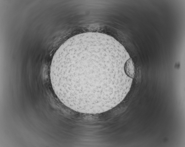 X0000115480962200912181205