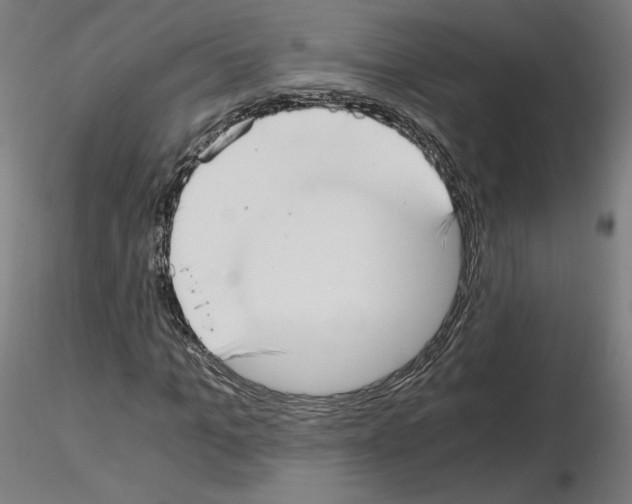 X0000115480965200912181205