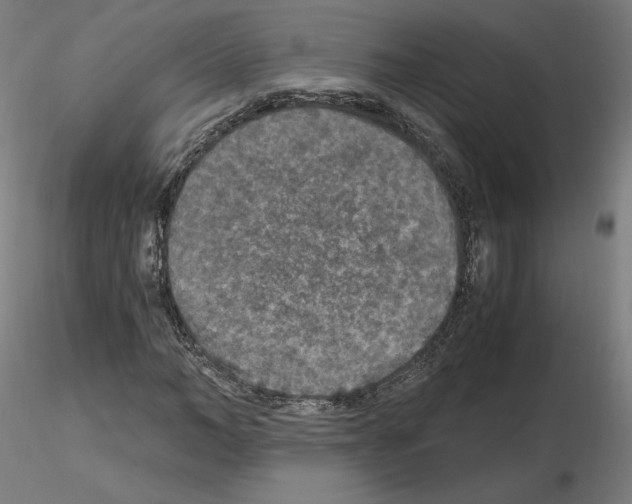 X0000115480966200912181205