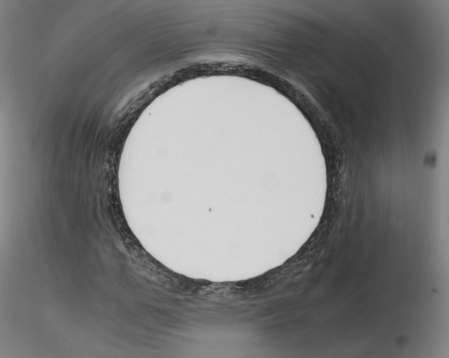X0000115480967200912181205