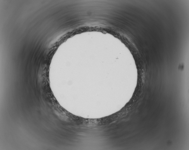X0000115480968200912181205