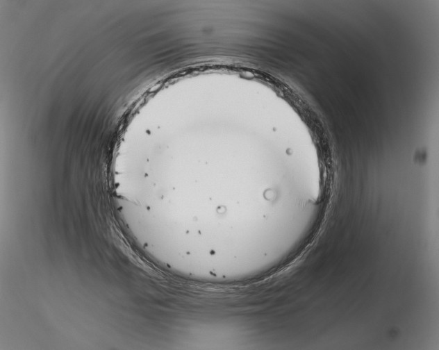 X0000115480969200912181205