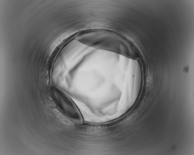 X0000115480973200912181205