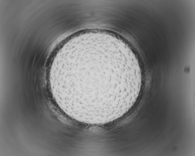 X0000115480974200912181205
