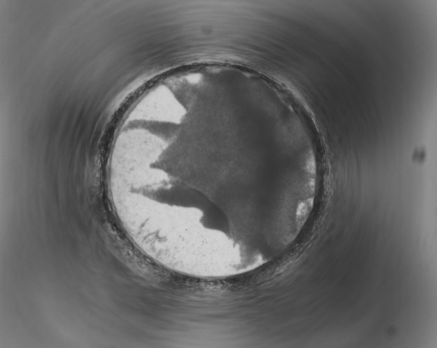 X0000115480975200912181205