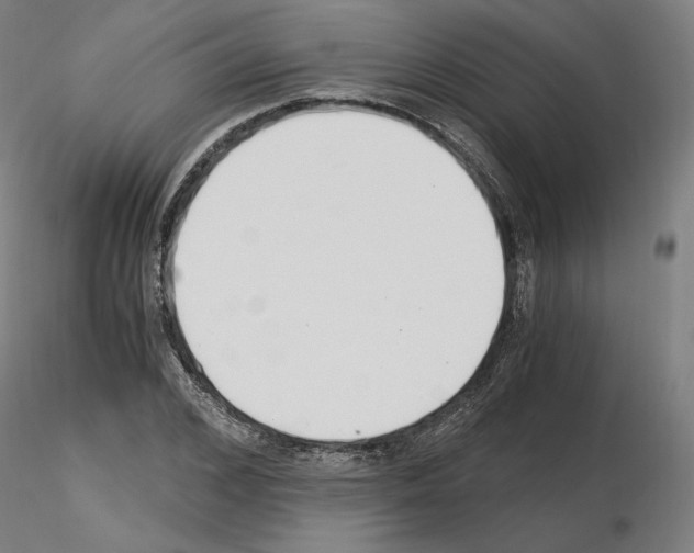 X0000115480976200912181205