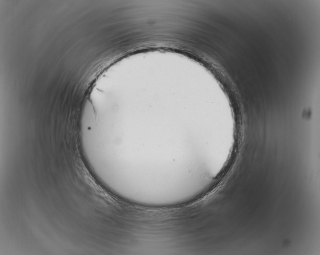 X0000115480977200912181205