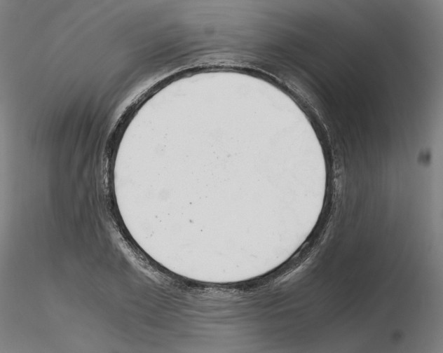 X0000115480981200912181205