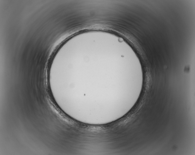 X0000115480982200912181205