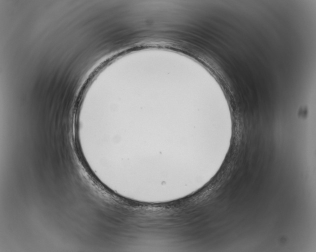 X0000115480984200912181205