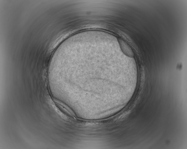 X0000115480985200912181205