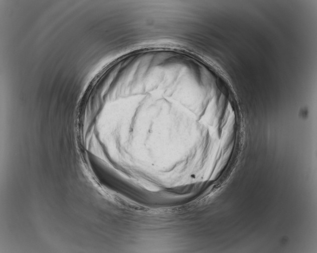 X0000115480989200912181205