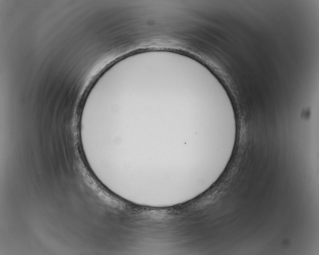 X0000115480990200912181205