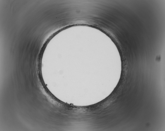 X0000115480991200912181205