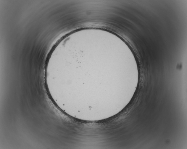 X0000115480992200912181205