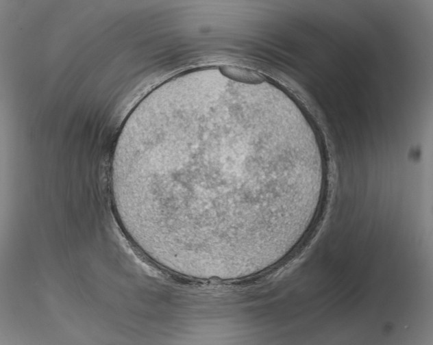 X0000115480993200912181205