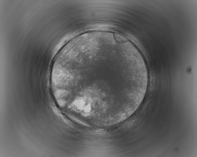 X0000115480994200912181205
