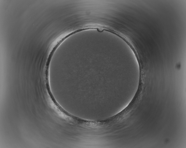 X0000115480995200912181205