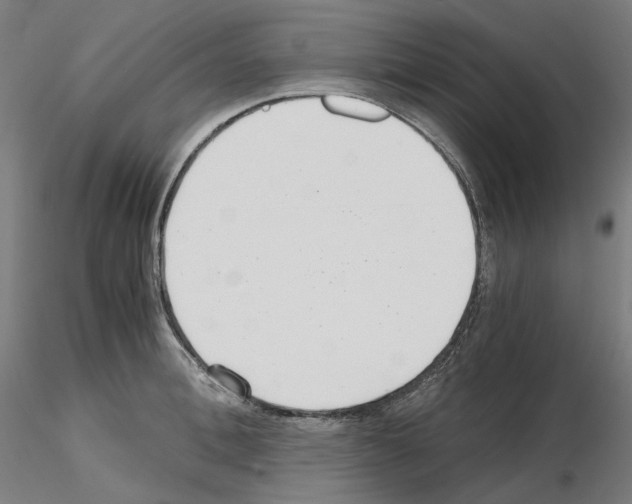 X0000115480996200912181205