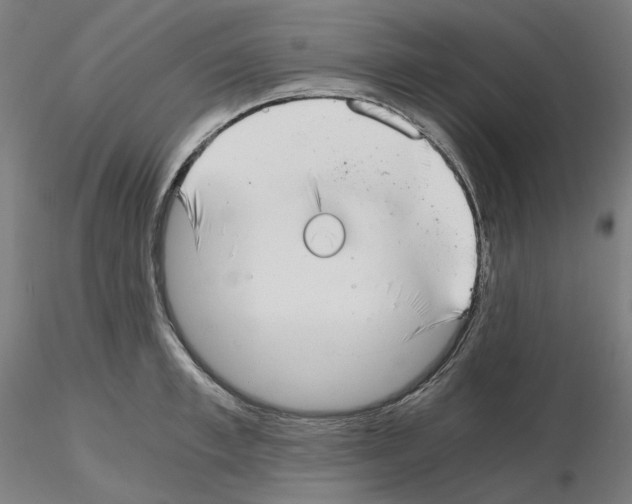X0000115480997200912181205
