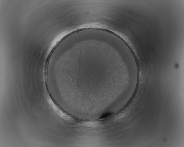 X0000115480998200912181205