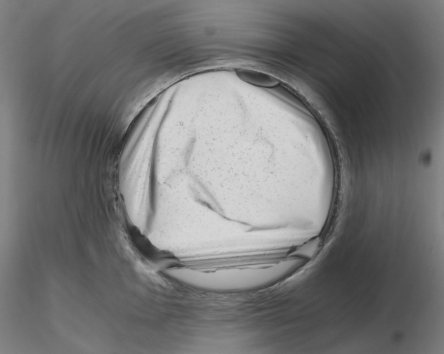 X0000115481001200912181205