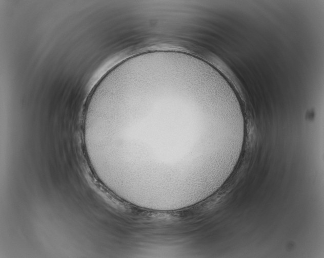 X0000115481002200912181205