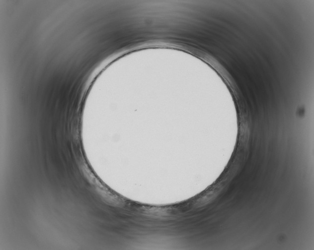 X0000115481004200912181205
