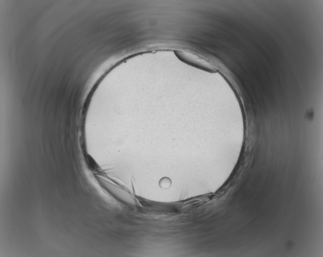 X0000115481005200912181205
