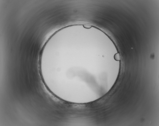 X0000115481006200912181205