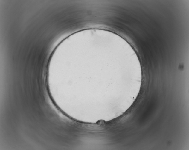 X0000115481007200912181205