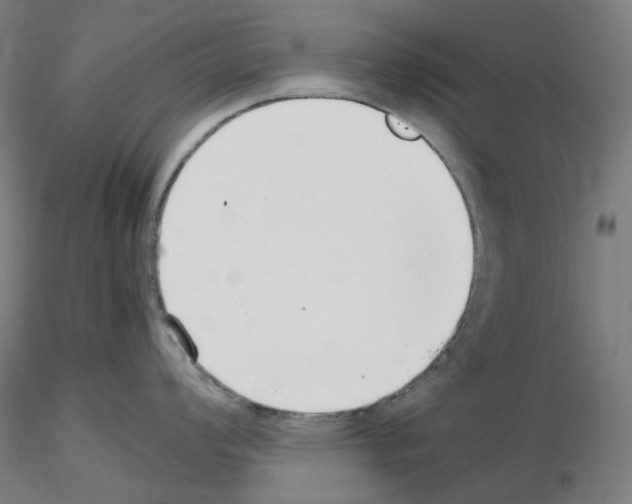 X0000115481008200912181205