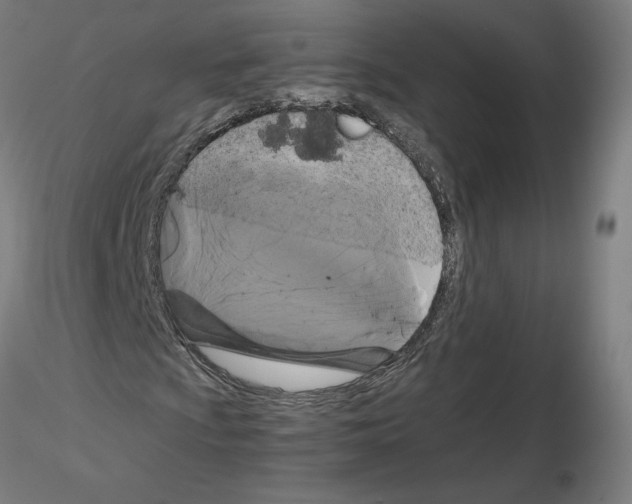 X0000115481009200912181204