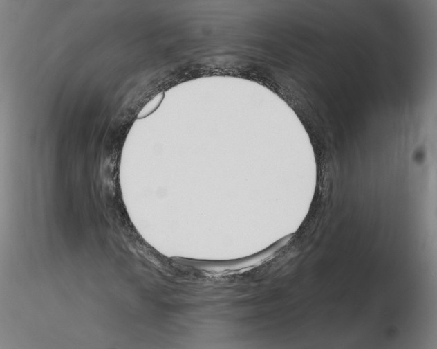 X0000115481010200912181204
