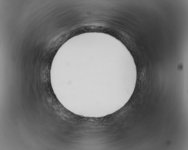 X0000115481014200912181204