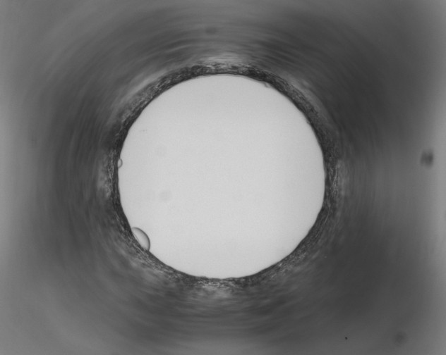 X0000115481015200912181204