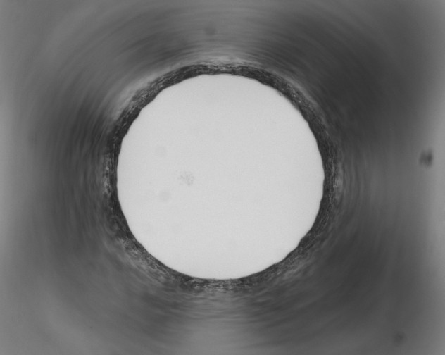 X0000115481016200912181204